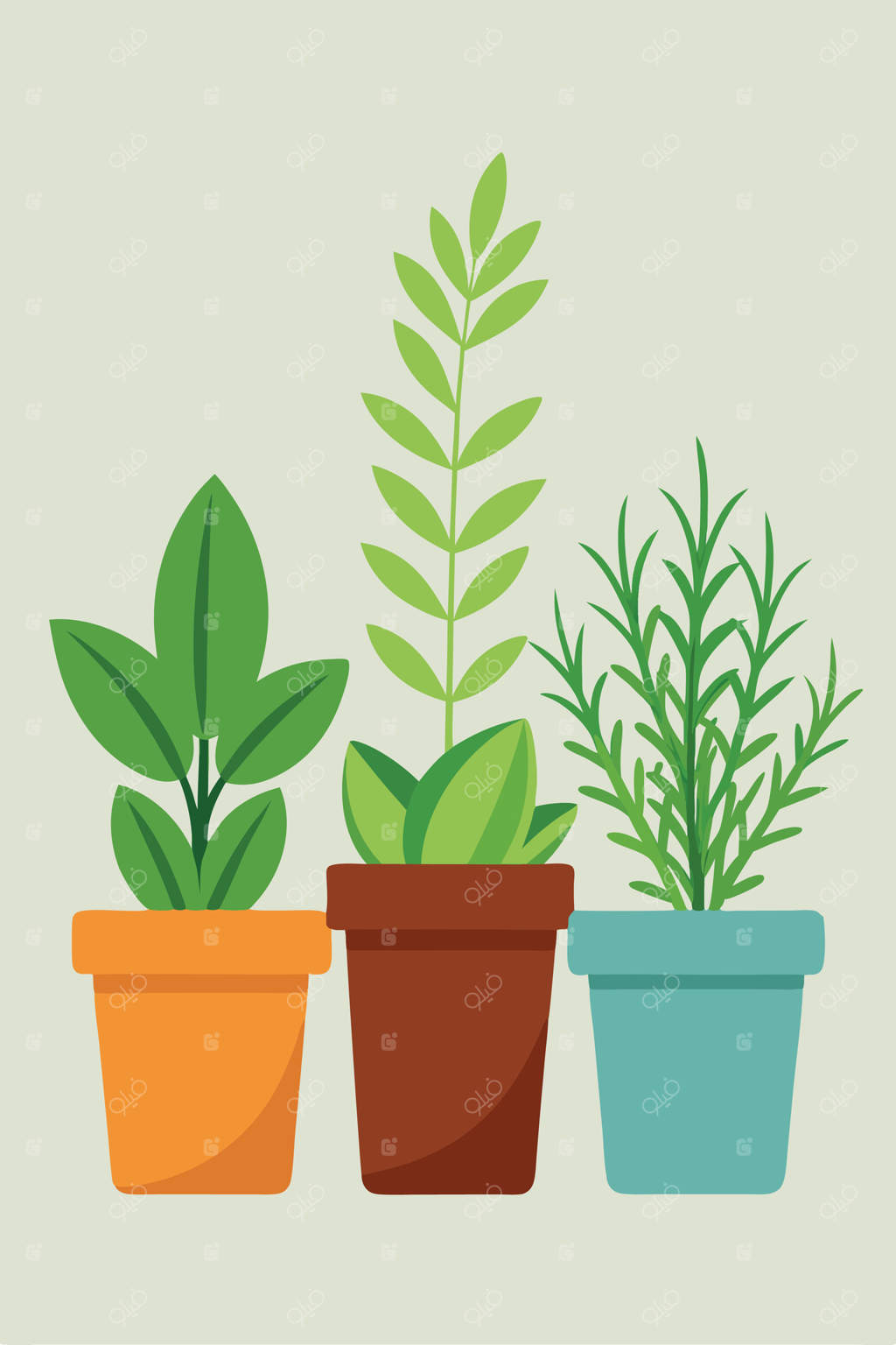 سه گلدان گیاهان دارویی برای دکوراسیون منزل و باغچه