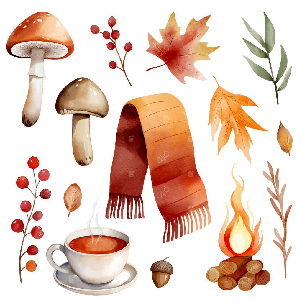 ست نقاشی آبرنگ پاییزی دلنشین با شال، قارچ‌ها، چای داغ، آتش‌کمپ و برگ‌ها