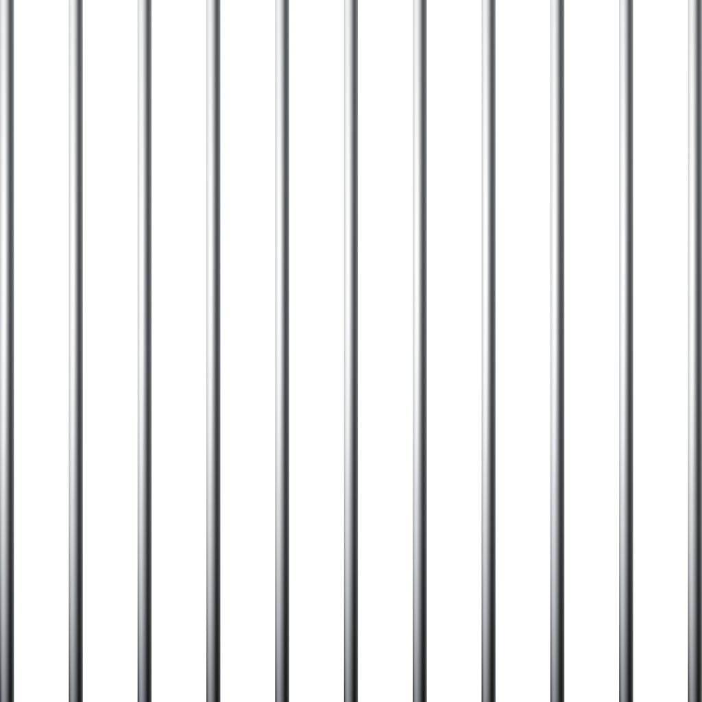 شبکه زندان، قفس فلزی