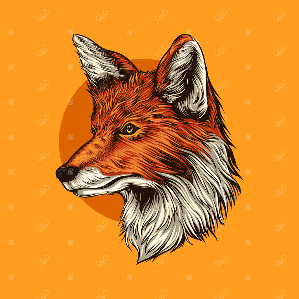 تصویرسازی سر روباه