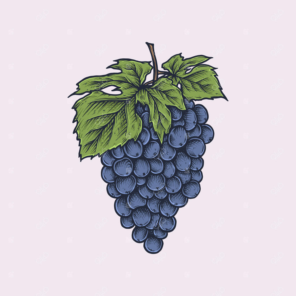 انگور قدیمی دست‌کشیده