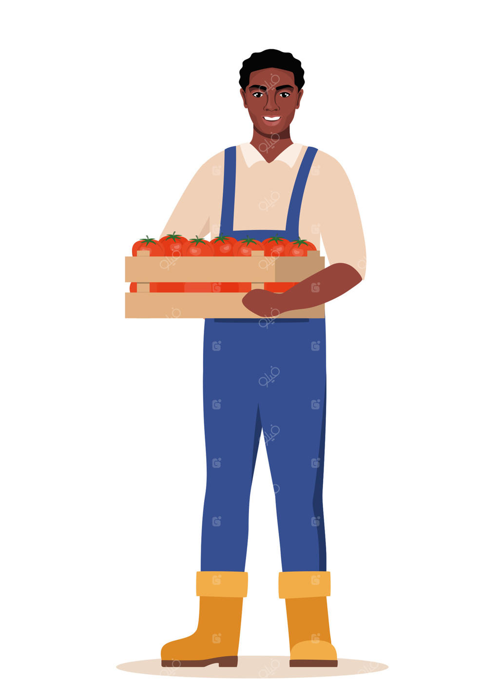 کشاورز سیاه‌پوست با جعبه‌ای از گوجه‌فرنگی‌ها در دست. کار کشاورزی و باغبانی. کارگر کشاورزی، باغبان، مهندس کشاورزی. تصویر.