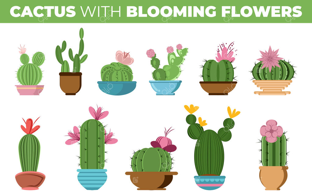 مجموعه‌ای از انواع مختلف کاکتوس با گل‌های شکوفا