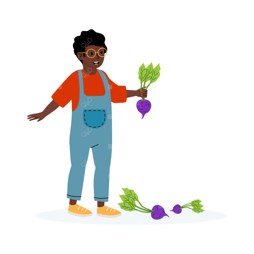 کودکی در حال نگه‌داری از سبزیجات تازه بنفش در باغ در یک عصر آفتابی