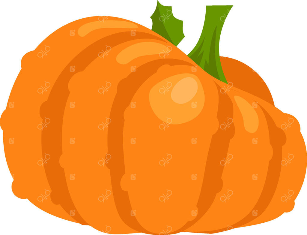 کدو تنبل نارنجی رسیده با شیارهای برجسته و ساقه‌ای سبز، تازه از باغ چیده شده، نماد برداشت پاییز و تغذیه سالم