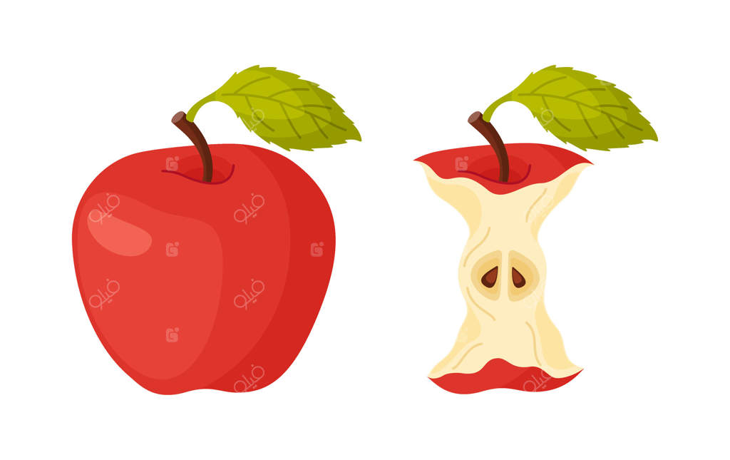 نمادهای مراحل خوردن سیب قرمز آبدار: از کامل تا هسته سیب. مراحل گاز زدن سیب رسیده. سبک طراحی دست‌کشیده و ساده. تصویر سیب قرمز گاز زده از باغ.