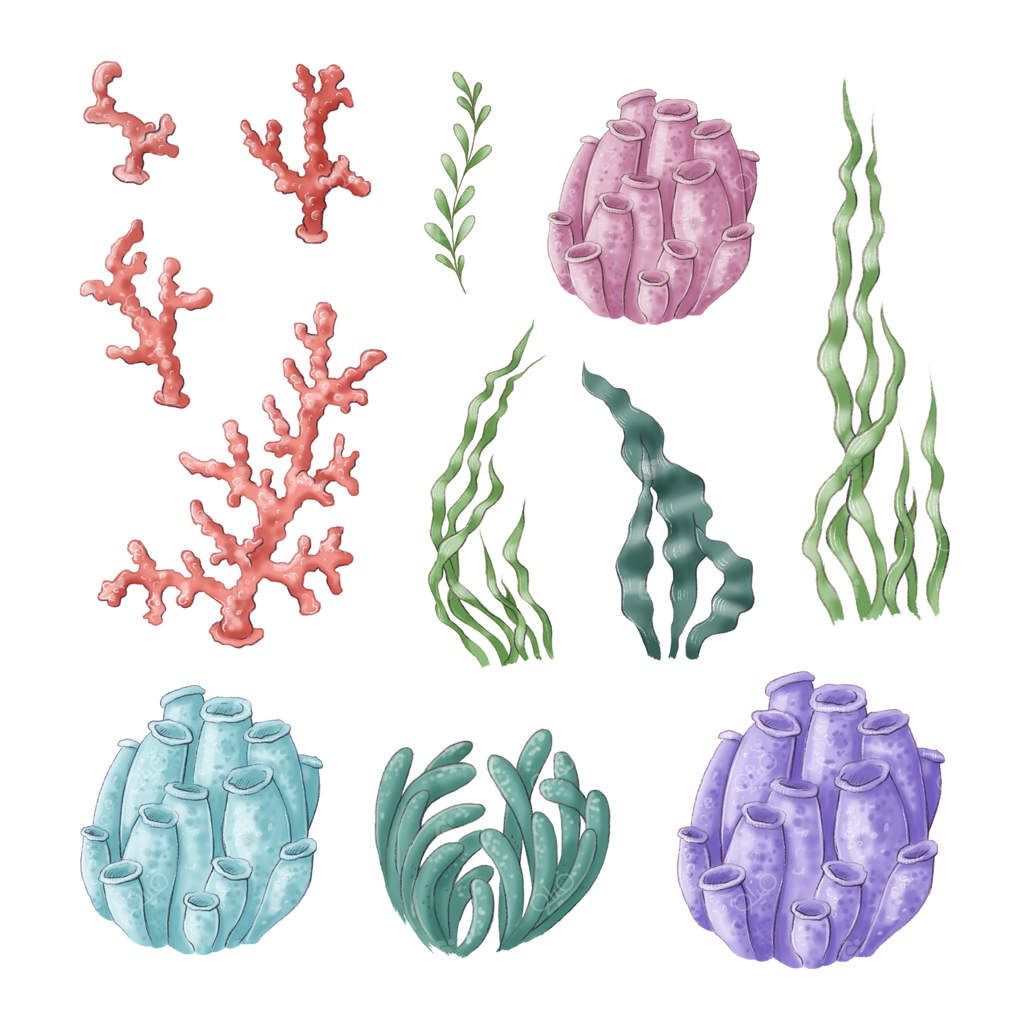 مجموعه کلیپ آرت گیاهان دریایی و مرجان‌ها