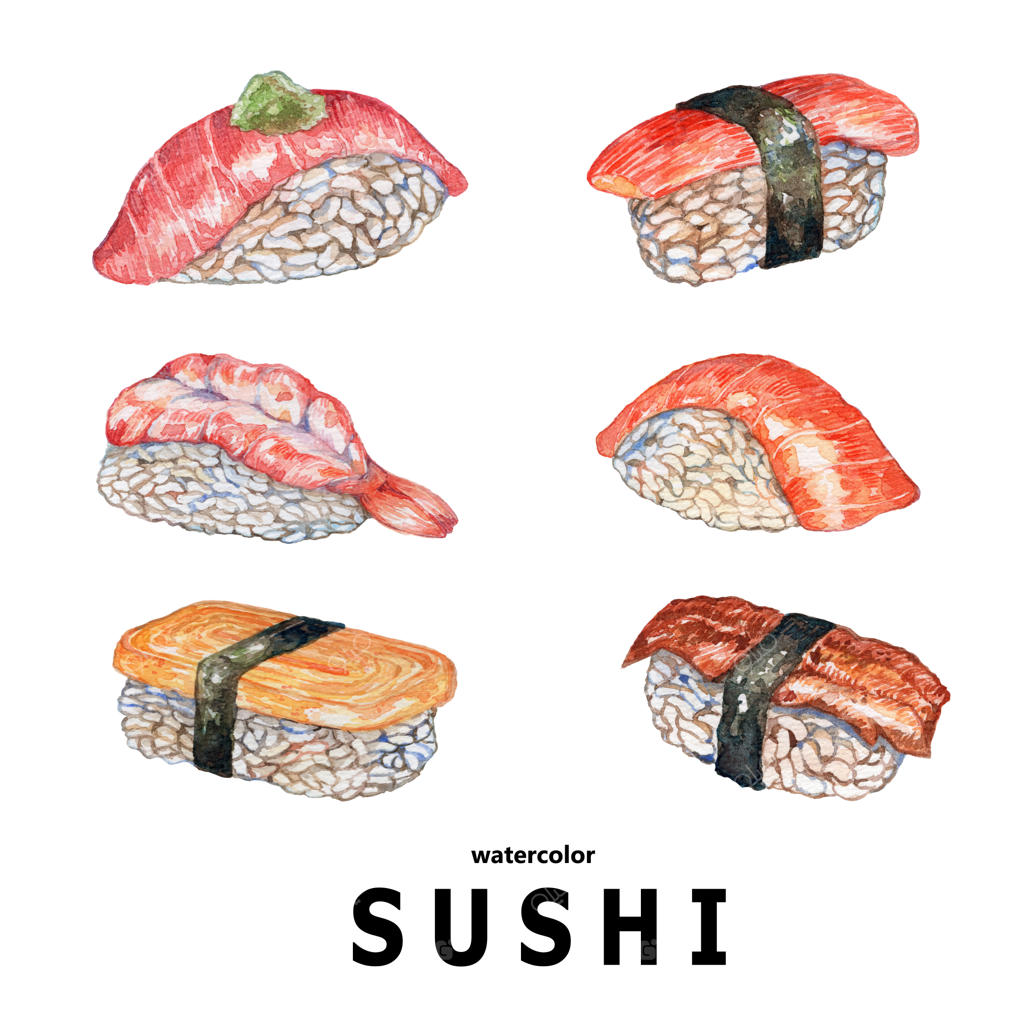 تصویرسازی آبرنگی سوشی