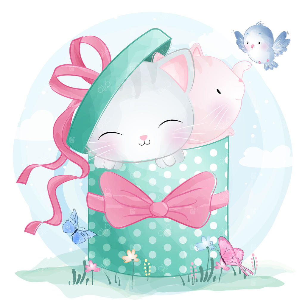 بچه‌گربه‌های بامزه نشسته در جعبه هدیه