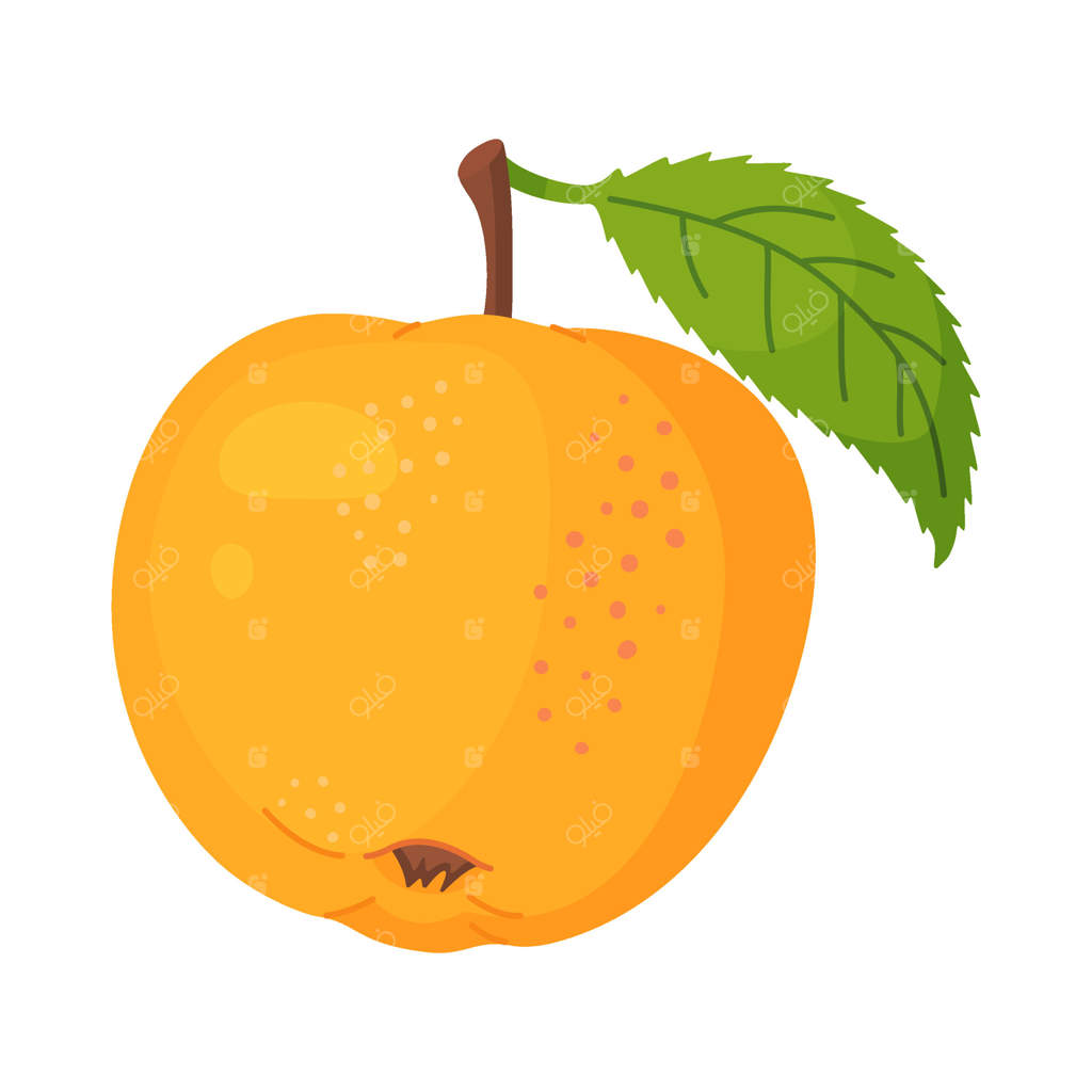 سیب زرد رسیده با برگ، میوه تازه باغ. طرح دست‌کشیده. میوه کامل با برگ سبز، سبک تخت و مناسب برای زمینه شفاف. تصویرسازی