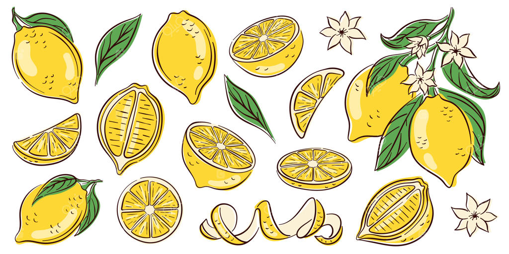 برش لیموی نقاشی شده با دست، همراه با برگ، گل و پوست - مناسب برای طراحی‌های تابستانی و بسته‌بندی موادغذایی تازه یا تزیینات گرمسیری.