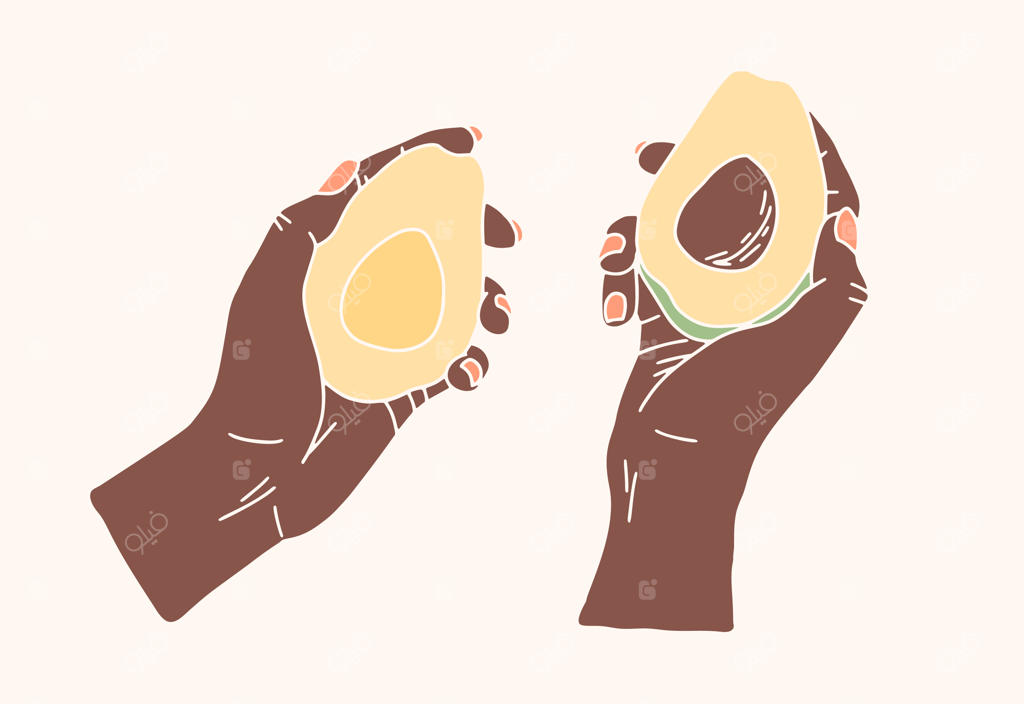 دست آفریقایی یک آووکادو را در پس‌زمینه‌ای ساده نگه داشته است