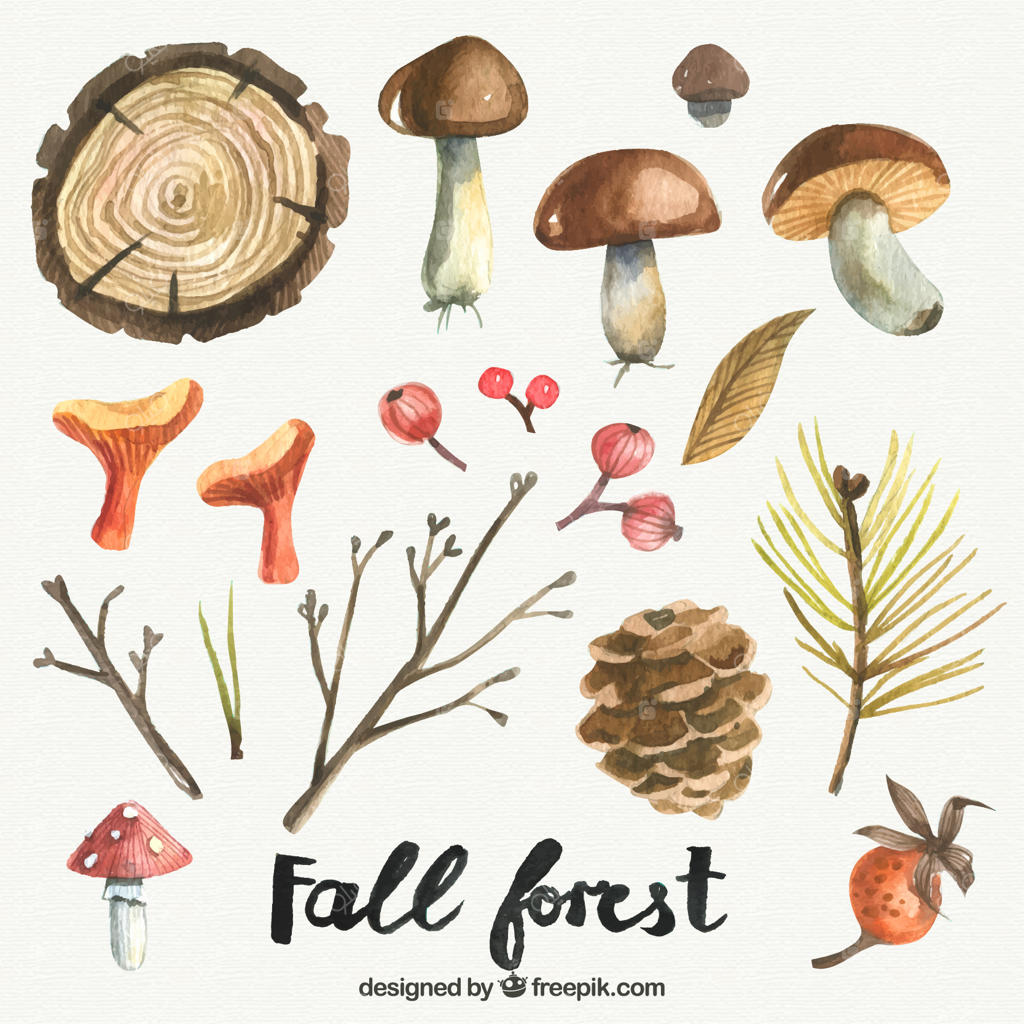 عناصر نقاشی دستی زیبا برای پاییز