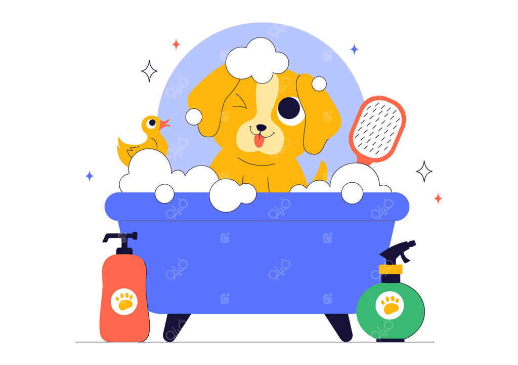 خدمات پیرایش: هنر با حیوانات در پس‌زمینه یک سالن زیبایی