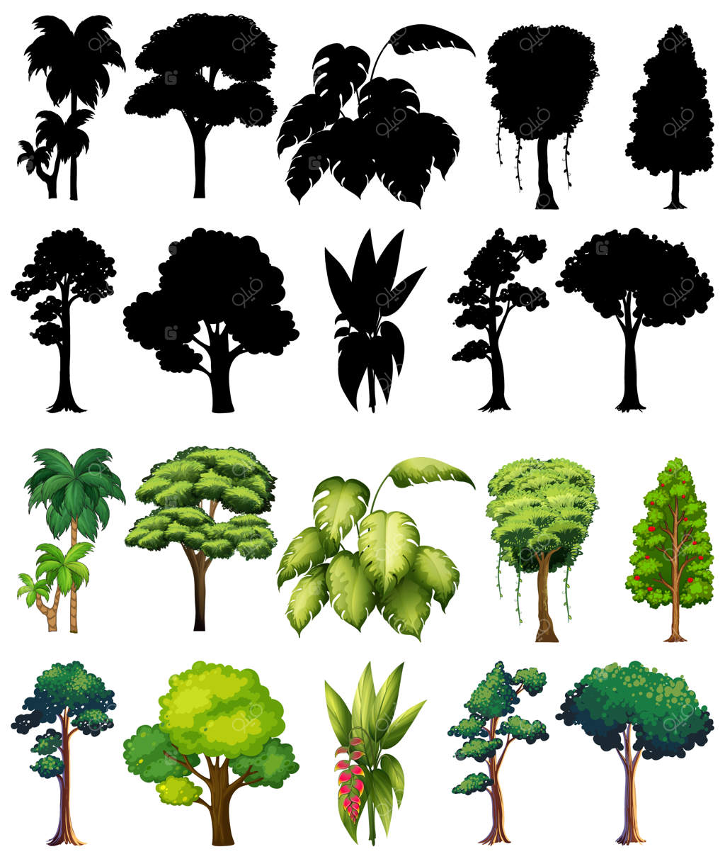 مجموعه‌ای از گیاهان و درختان به همراه سایه‌هایشان