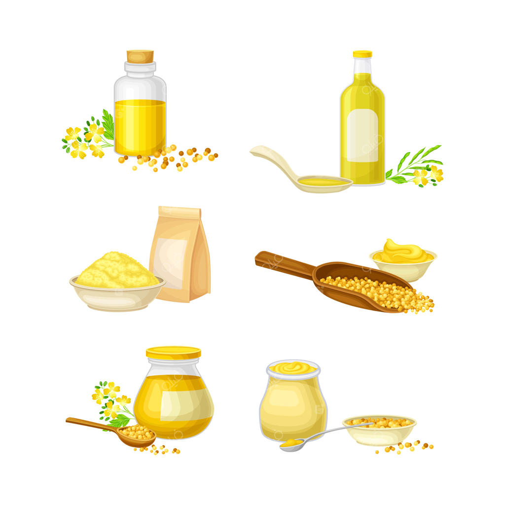 وکتور حرفه‌ای مواد اولیه خردل برای خلق غذاهای لذیذ و خوش‌طعم