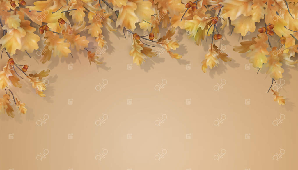 شاخه بلوط با برگ‌ها و بلوط‌ها