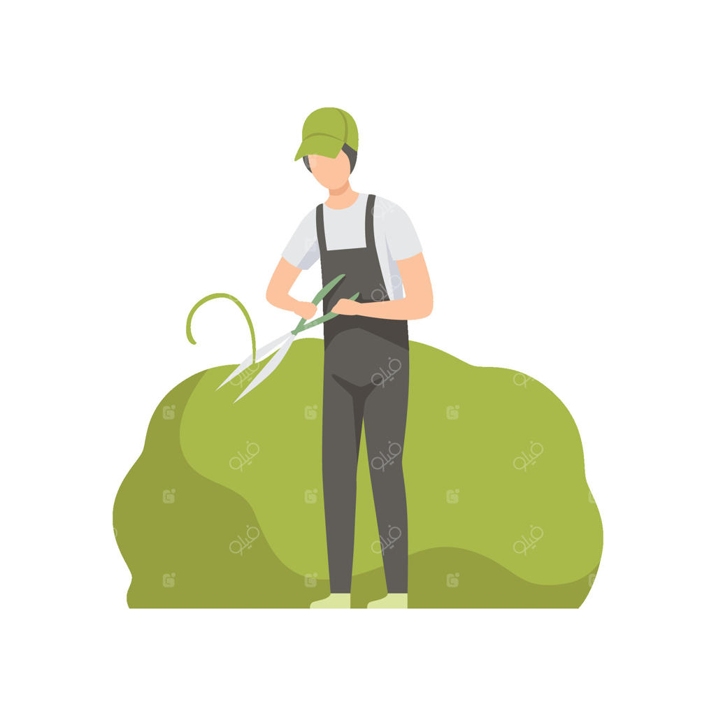 باغبان مشغول اصلاح بوته با قیچی، مردی در حال کار در باغ (تصویرسازی)