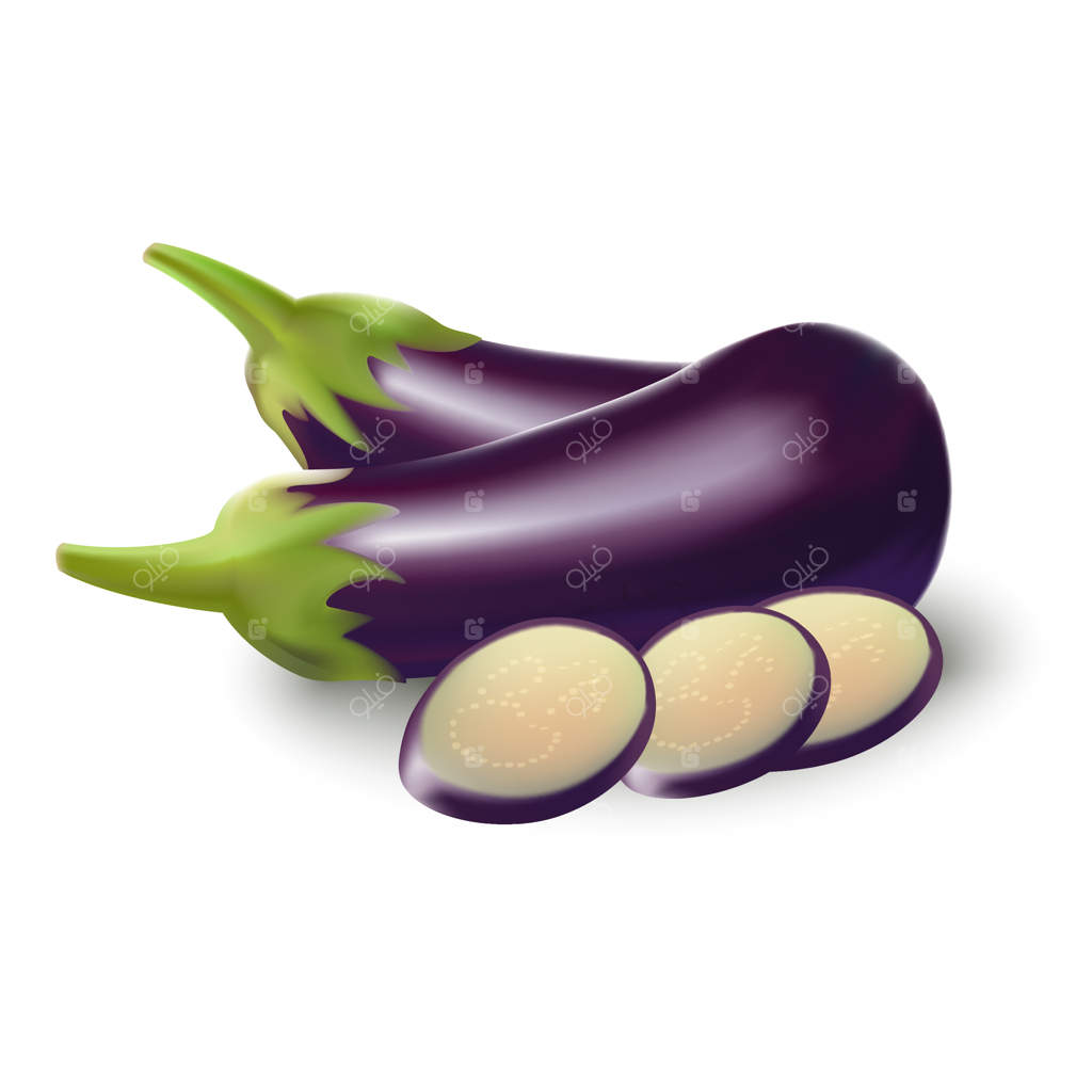 تصویرسازی وکتور بادمجان و برش‌های بادمجان