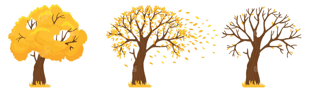 درخت پاییزی: برگ‌های زرد می‌ریزند، درختانی با برگ‌های ریخته و برگ‌های نارنجی در پرواز - تصویرسازی وکتور