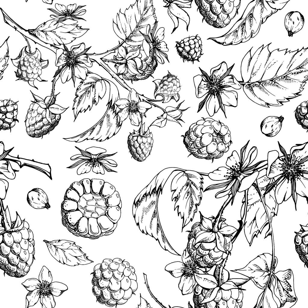 باغ تمشک: برگ‌ها و گل‌های شاخه‌های خاردار. توت مار، تمشک و شاه‌توت رسیده، نقاشی دستی با جوهر. پترن یکپارچه و جدا شده. کنسرو خانگی، فروشگاه مواد غذایی، کاغذ بسته‌بندی