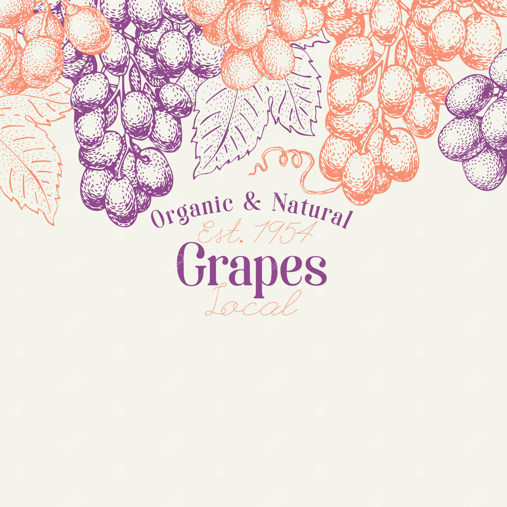 قالب طراحی انگور و توت.