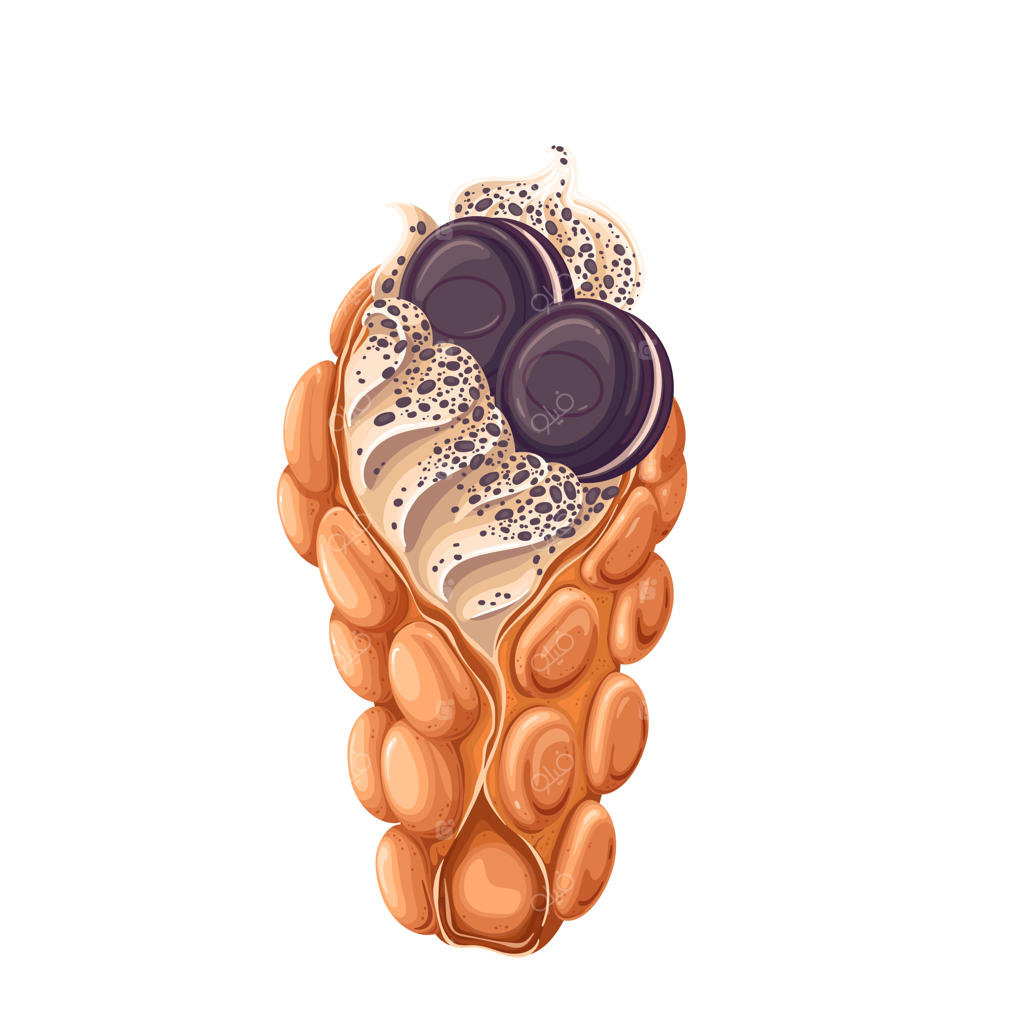 بستنی نانی حبابی هنگ‌کنگی با بستنی شکلاتی