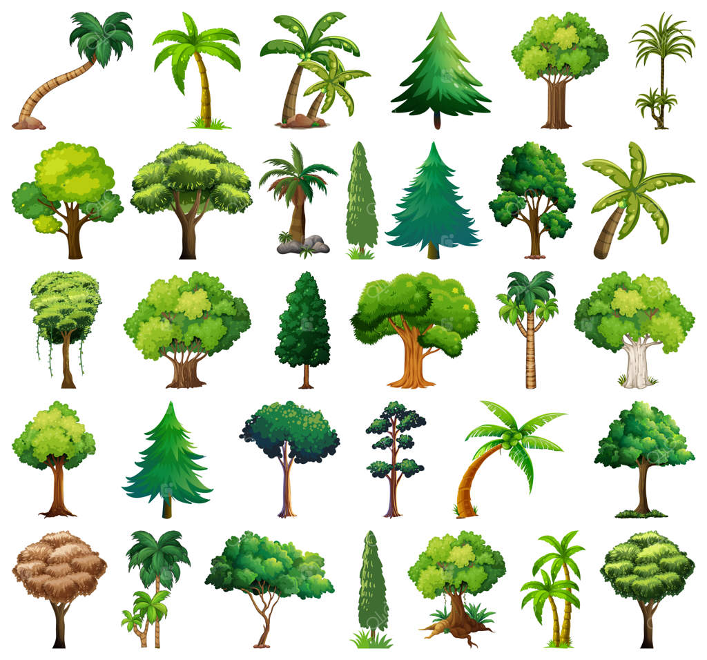 مجموعه‌ای از گیاهان و درختان متنوع