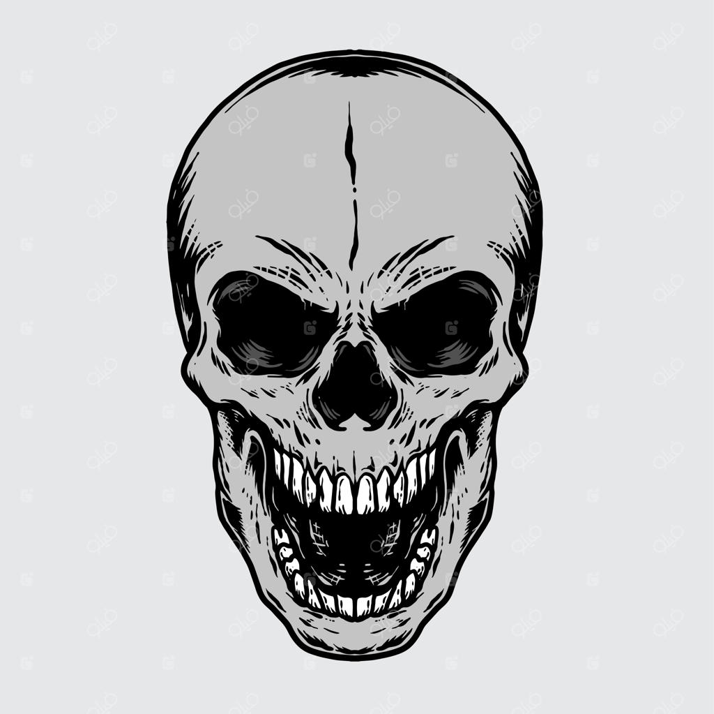 تصویر سیاه‌ و سفید جمجمه انسانی قدیمی