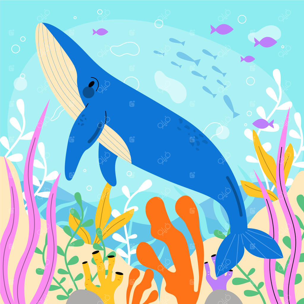 تصویرسازی تخت حیوانات دریایی