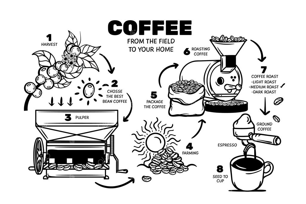 طرح دستی مفهوم قهوه