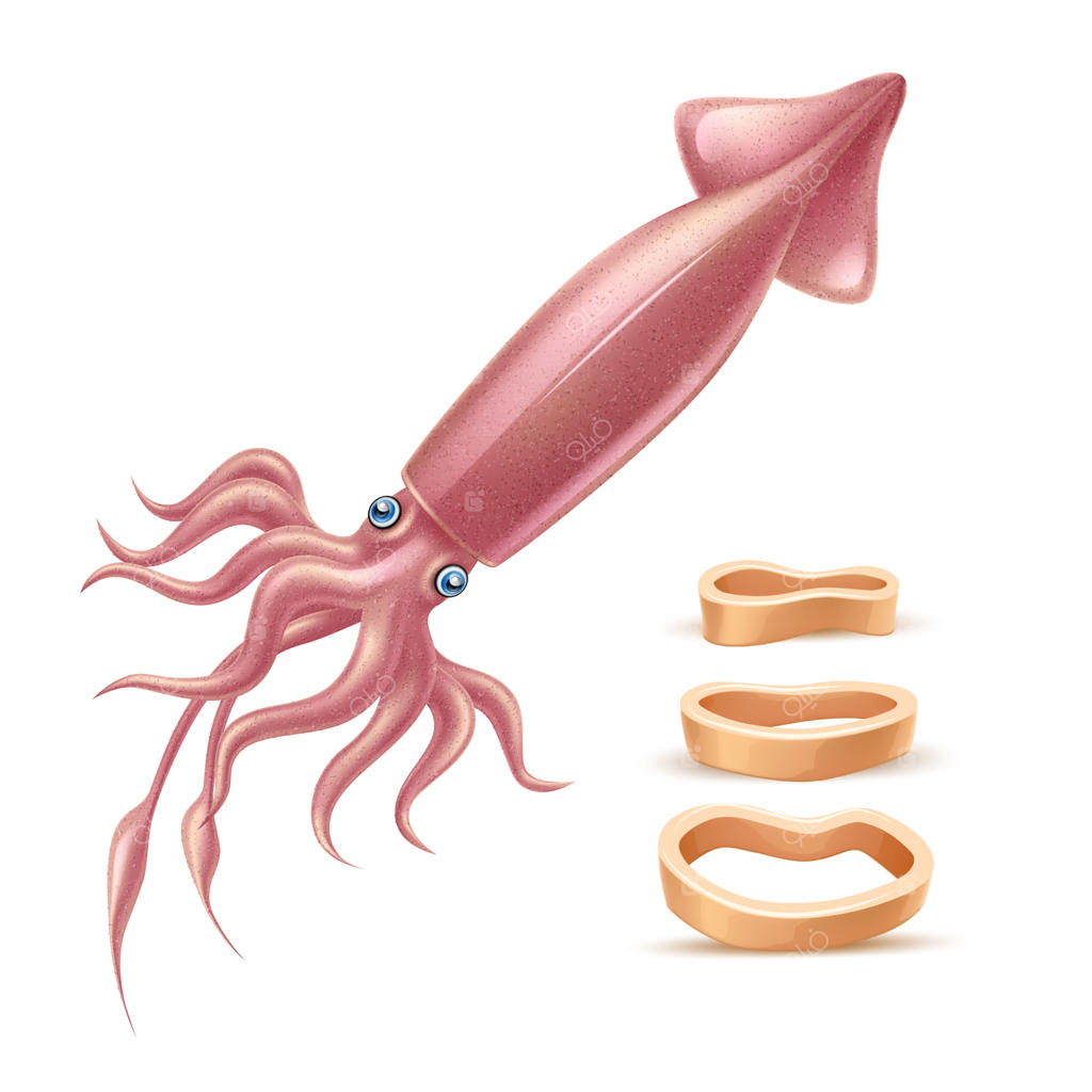 حیوان واقعی وکتور، ماهی مرکب دریایی سه‌بعدی