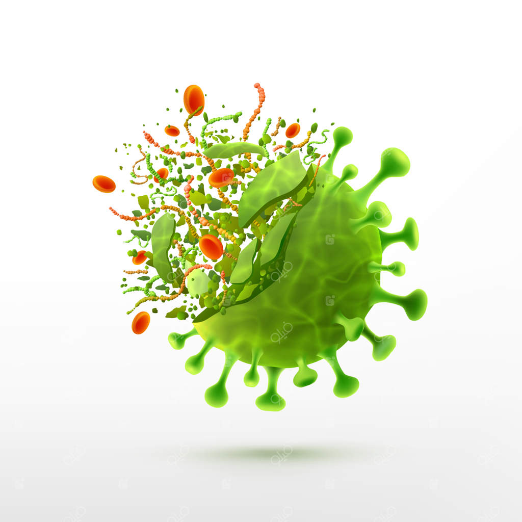 نابودی ویروس‌ها: باکتری، میکروب و سلول ویروس بر روی زمینه سفید