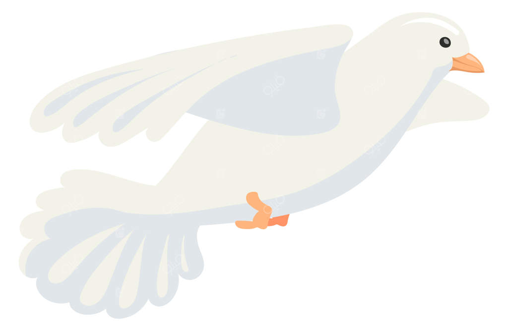 کبوتر سفید در حال پرواز - نماد کارتونی پرنده - حیوان وحشی