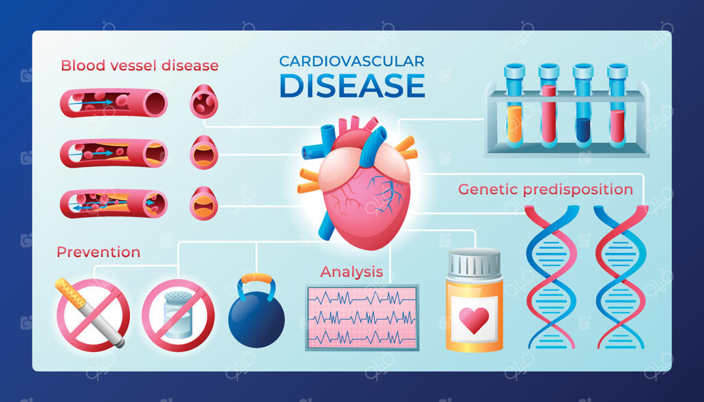 قالب اینفوگرافیک بیماری‌های قلبی عروقی با گرادیان رنگی