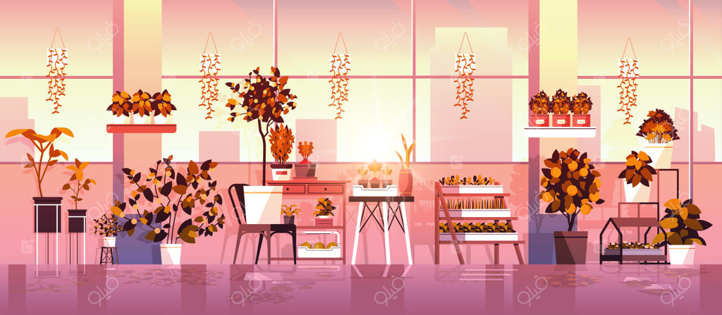 مفهوم باغبانی با گلدان‌های گلخانه‌ای روی قفسه‌ها