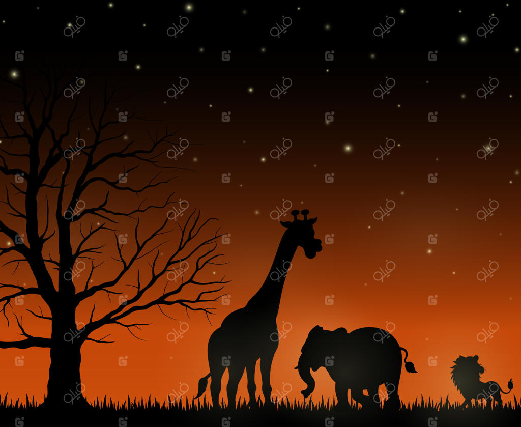 سایه‌های حیوانات وحشی آفریقایی