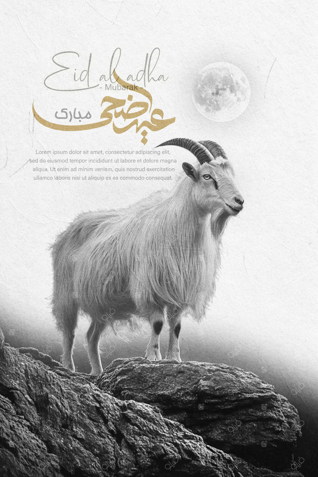 قالب بنر تبریک عید سعید قربان