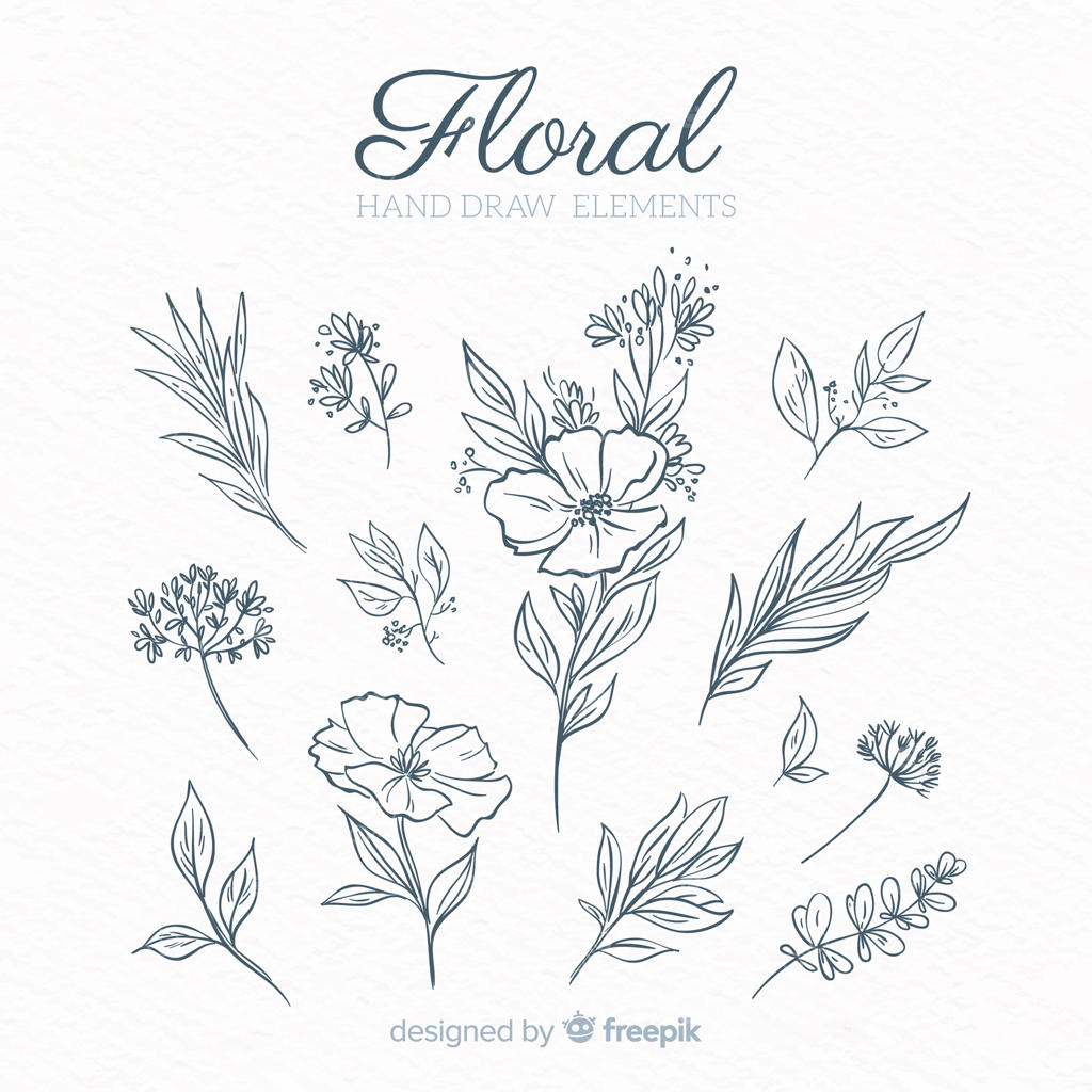 مجموعه المان‌های تزئینی استوایی