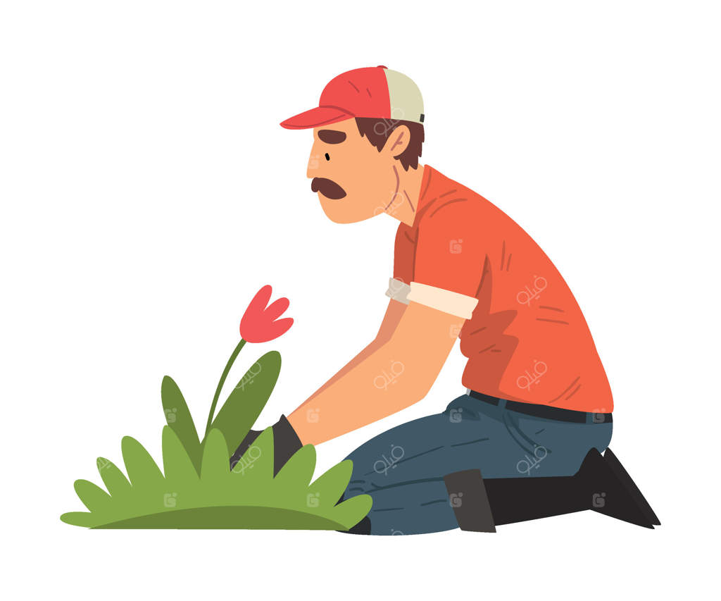 مرد باغبان در حال کاشت گل، شخصیت کشاورز مرد در حال کار در باغ یا مزرعه - تصویر وکتور حرفه‌ای