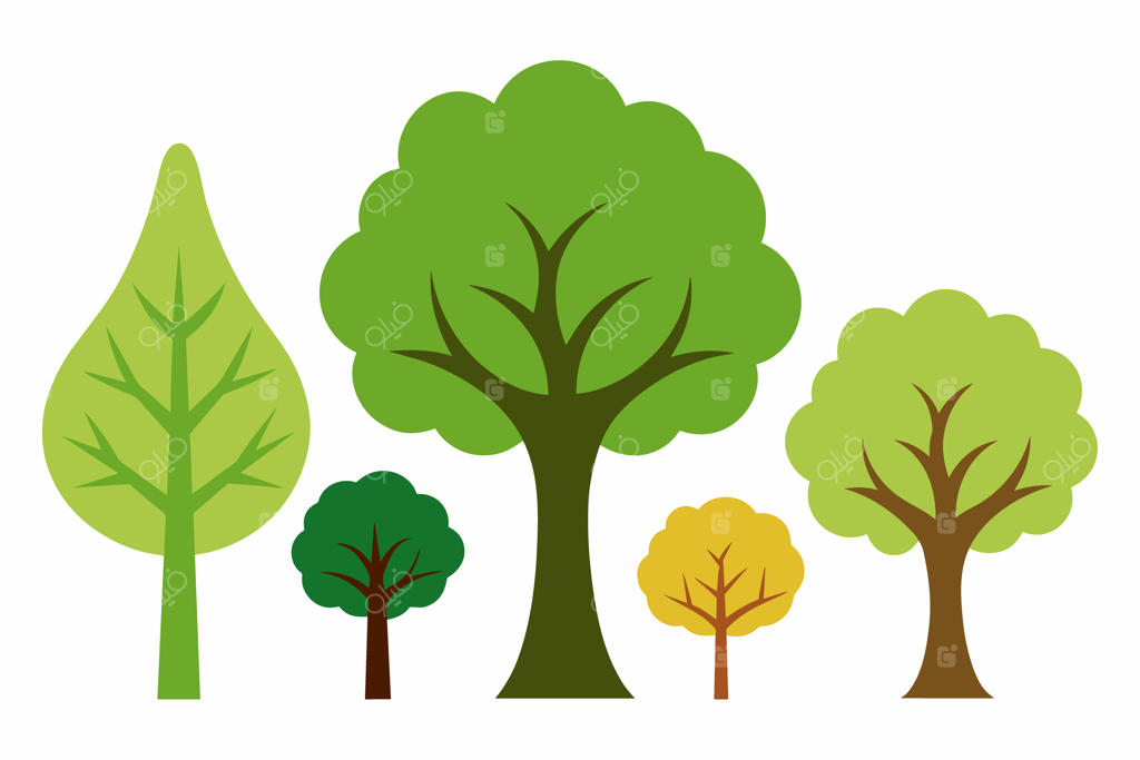 مجموعه‌ای از درختان با رنگ‌ها و اشکال گوناگون