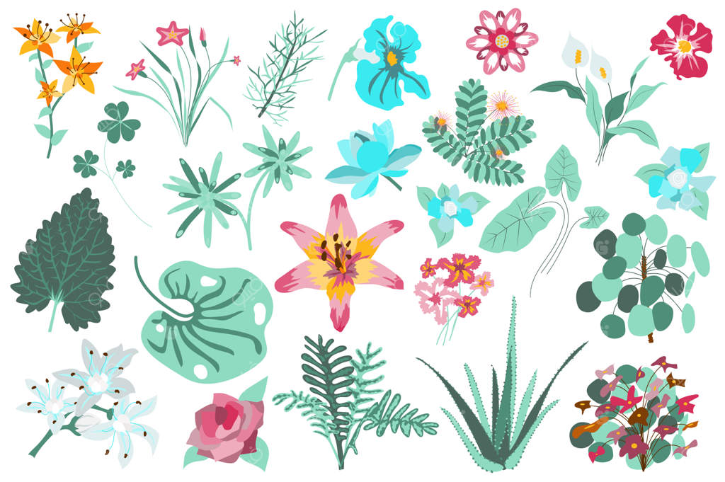 گل‌ها و گیاهان: مجموعه‌ زنبق‌ها، برگ‌های سبز، آلوئه و گل‌های وحشی در حال شکوفه‌دهی در باغ گل‌ها