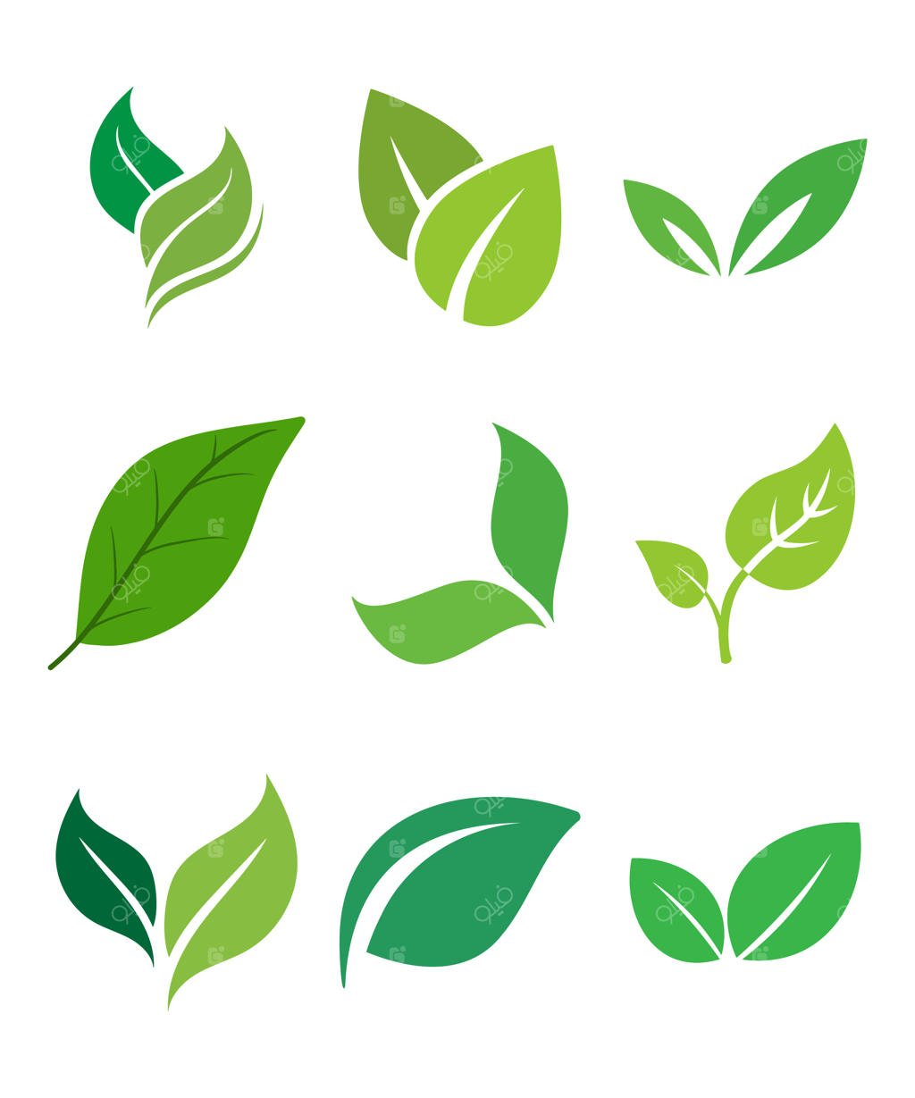 برگ‌های سبز روی زمینه سفید با یک برگ سبز در بالا