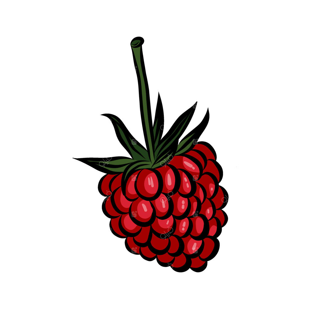 تمشک، توت قرمز تازه باغ. نماد میوه شیرین و رسیده. غذای ارگانیک و طبیعی تابستانی، غنی از ویتامین. تصویر گرافیکی ساده روی پس‌زمینه سفید.