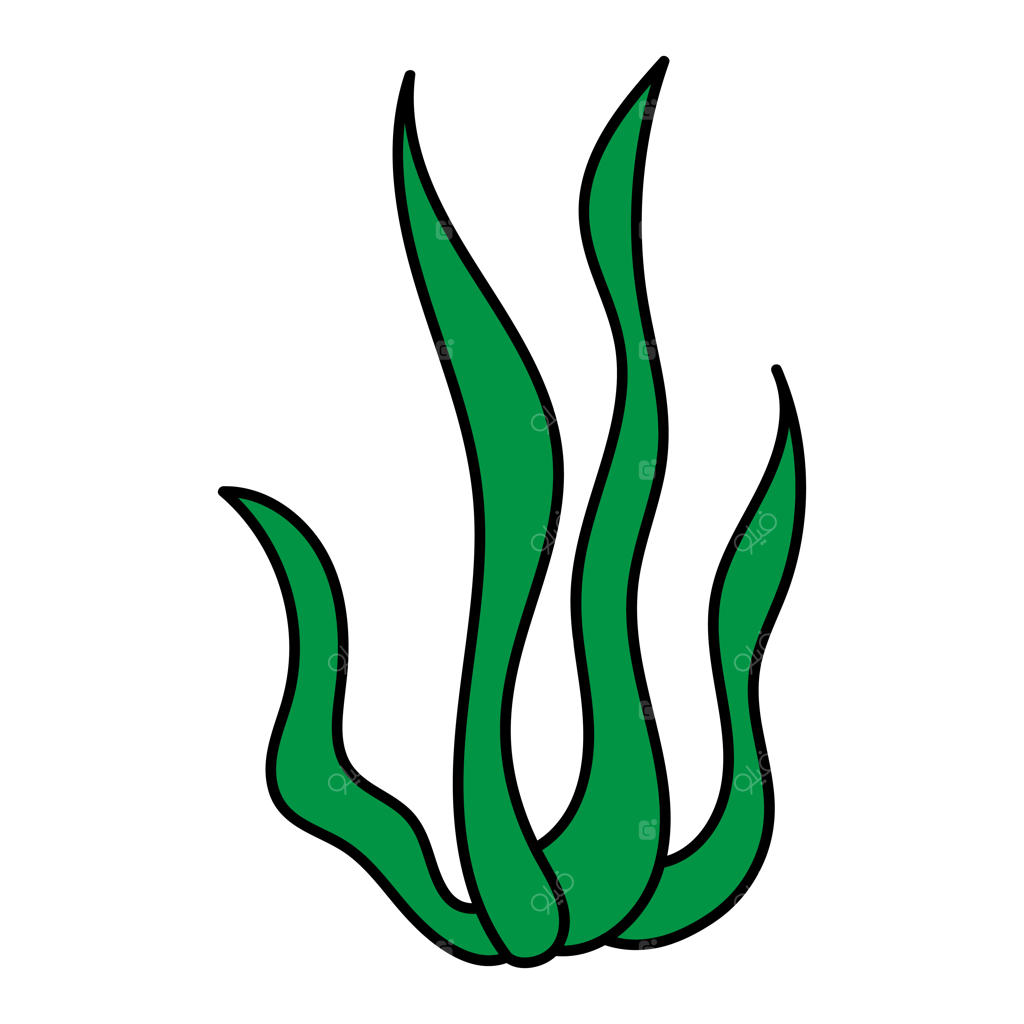 طرح خطی اشیاء دریایی کارتونی با جلبک و مرجان برای رنگ‌آمیزی در پس‌زمینه سفید