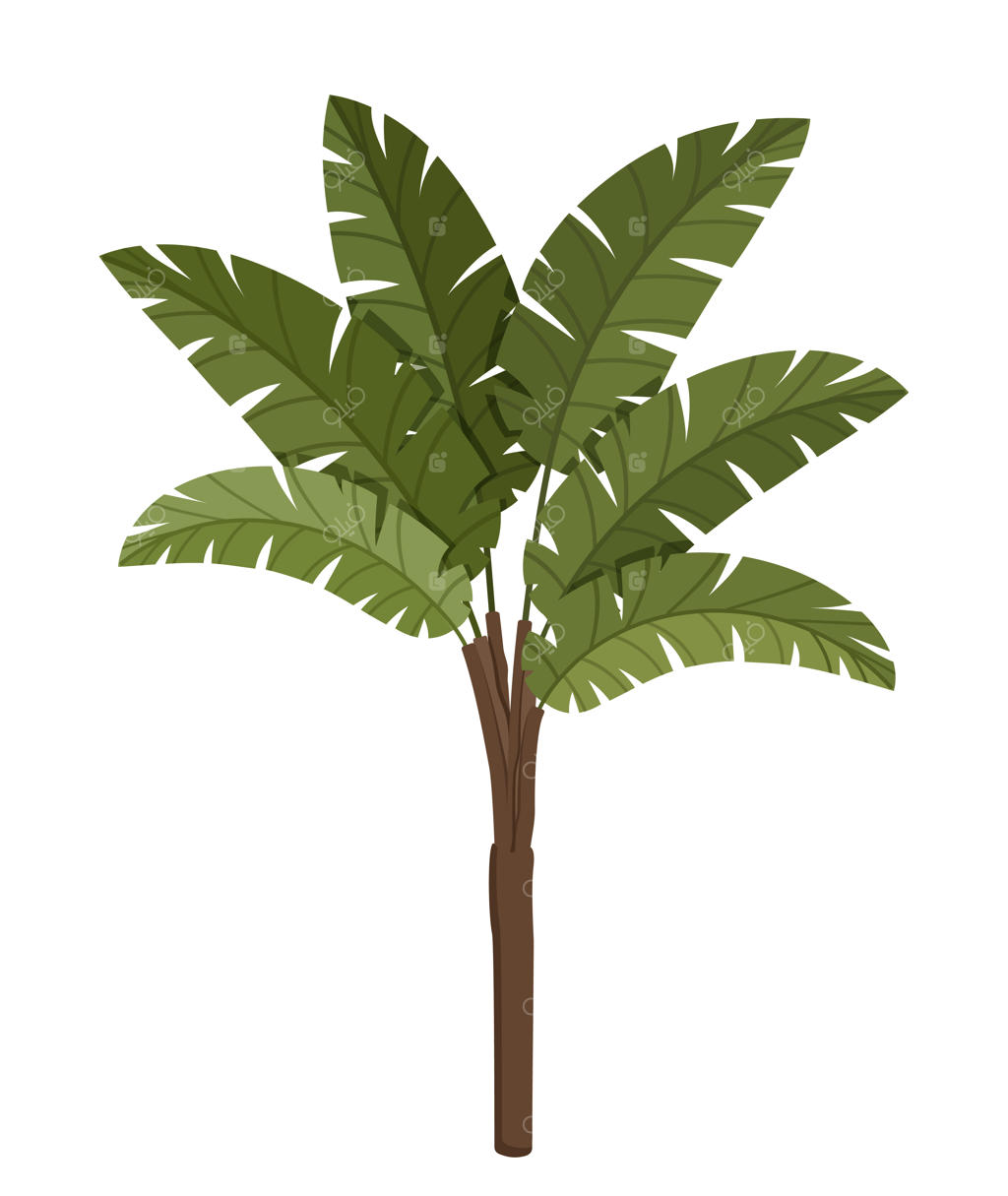 آیکون گیاه استوایی