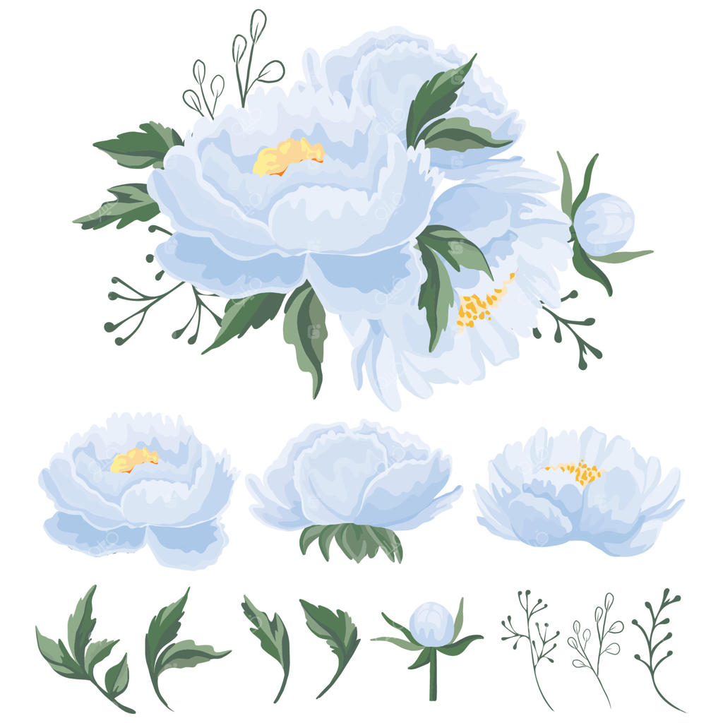 کشف طراحی‌های گرافیکی گل صد تومانی آبی کمرنگ و الگوهای گلدار