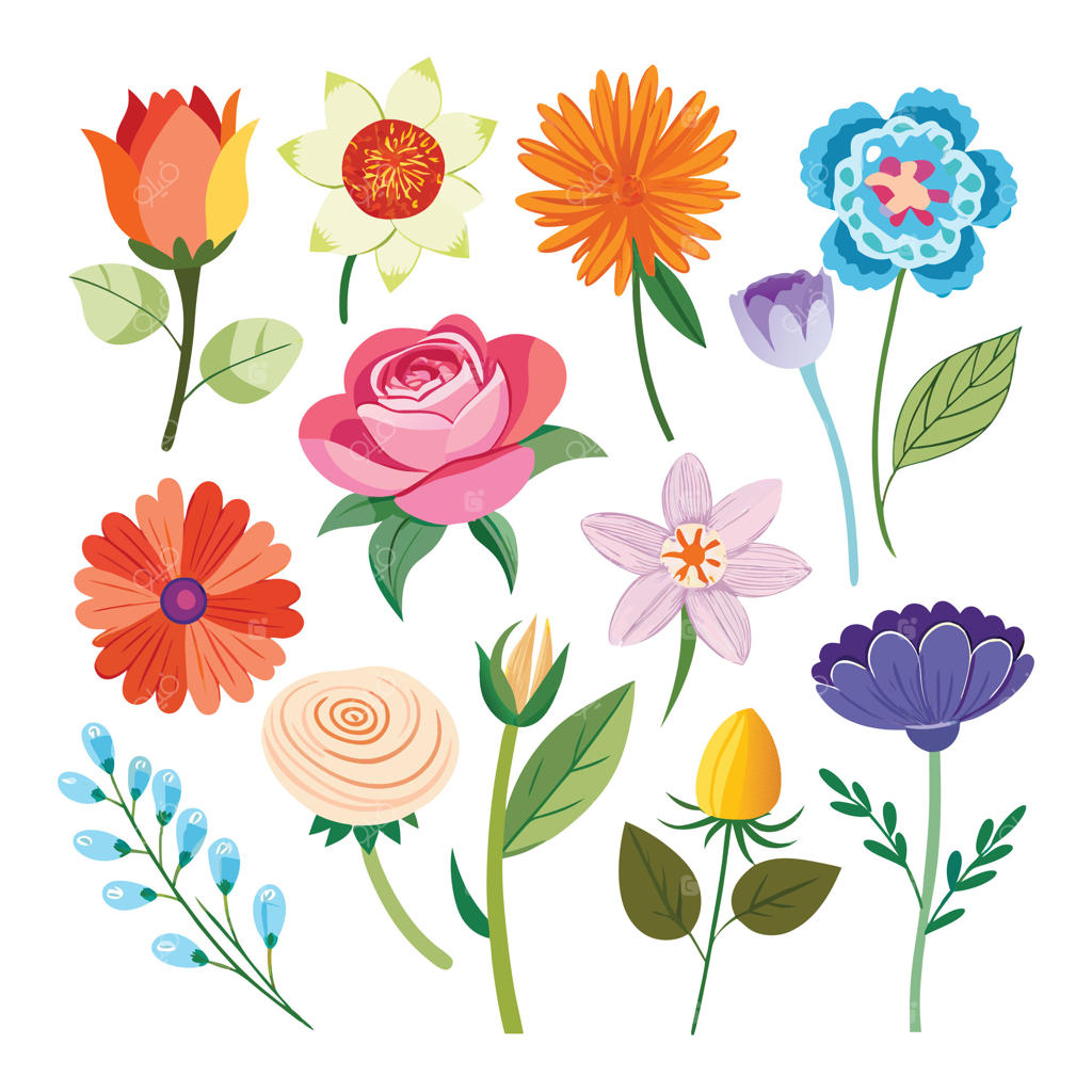 مجموعه تصاویر گل‌های رنگارنگ برای