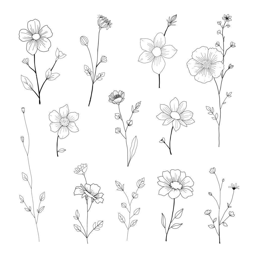 مجموعه طرح‌های خطی گل