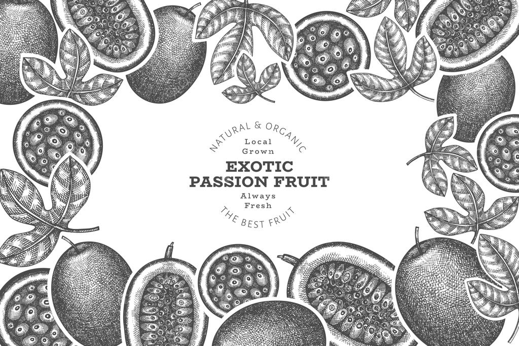 طرح دستی میوه گل ساعتی. تصویرسازی میوه تازه و ارگانیک. قالب میوه‌های استوایی به سبک قدیمی.